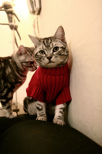 九游娱乐平台-国家队集训计划与俱乐部赛程冲突频发，国家队集训队