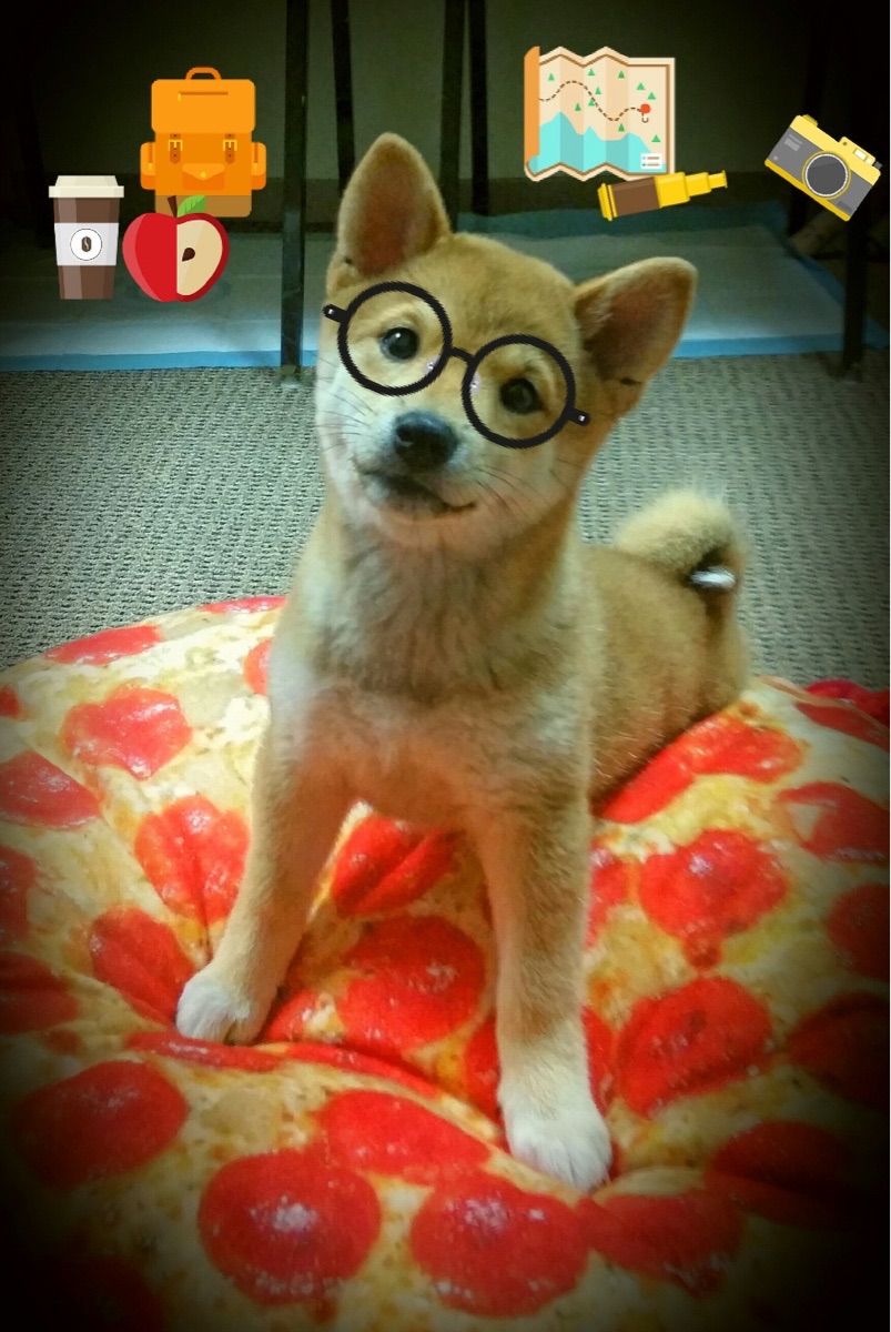 九游娱乐在线-国际热身赛国家队爆冷 球迷讨论战术调整，国际热身赛直播