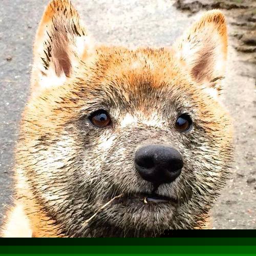 九游网页版入口-如何通过掩护制造空位三分机会