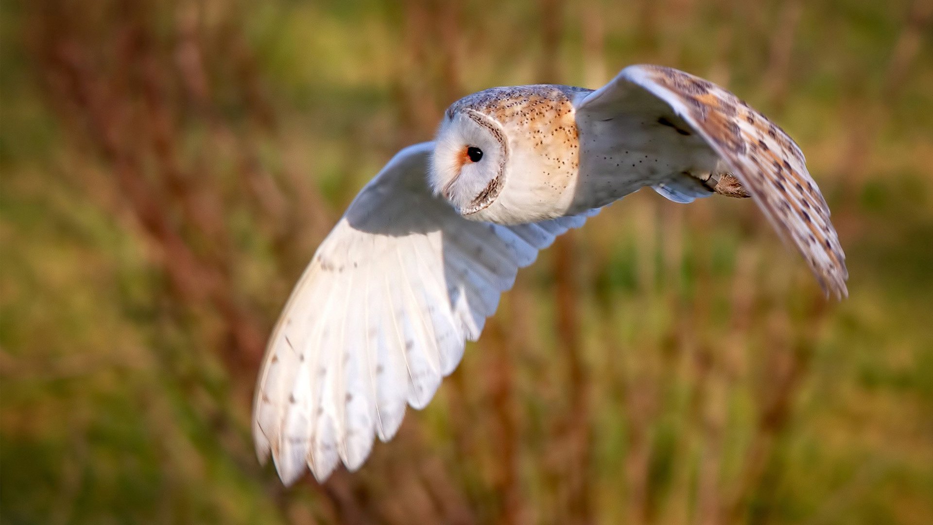 九游网页官网-青少年体育活动丰富多彩，青少年体育活动主题