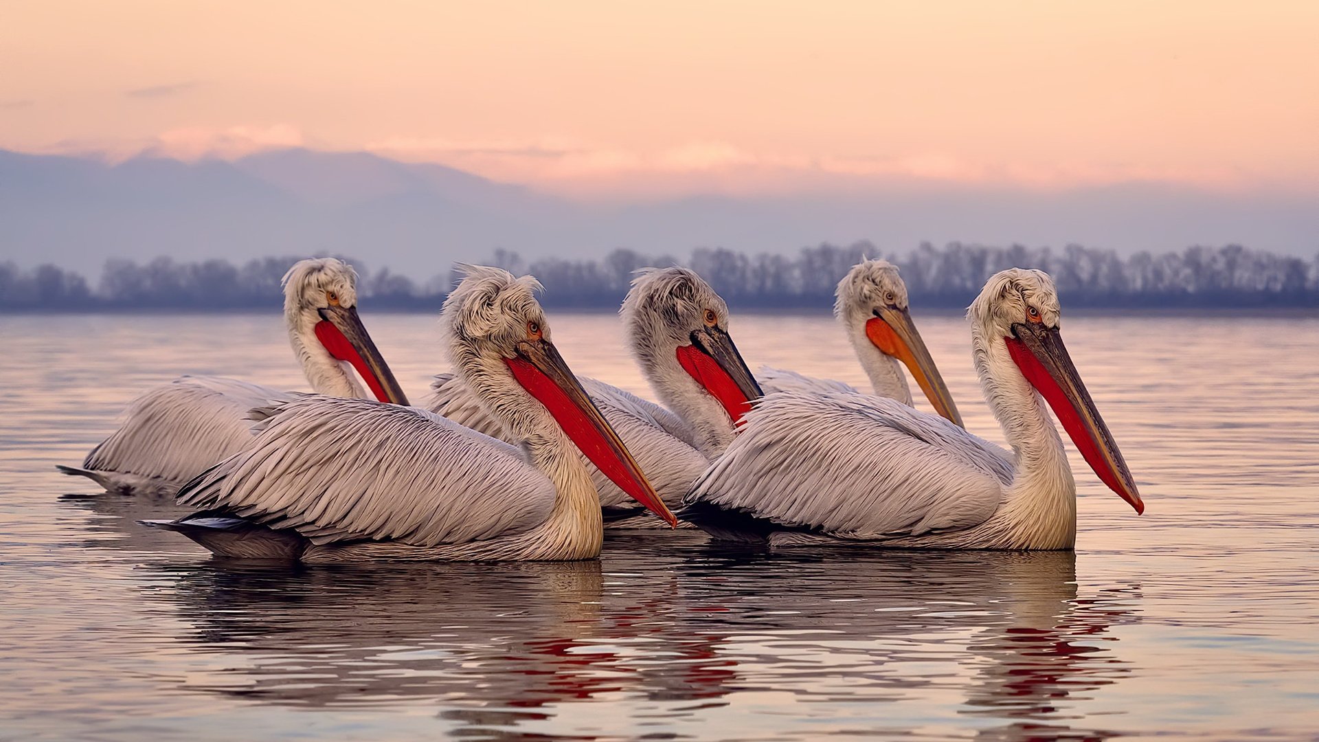 九游官网入口充值-中国足球国家队备战计划科学化管理，中国足球 规划