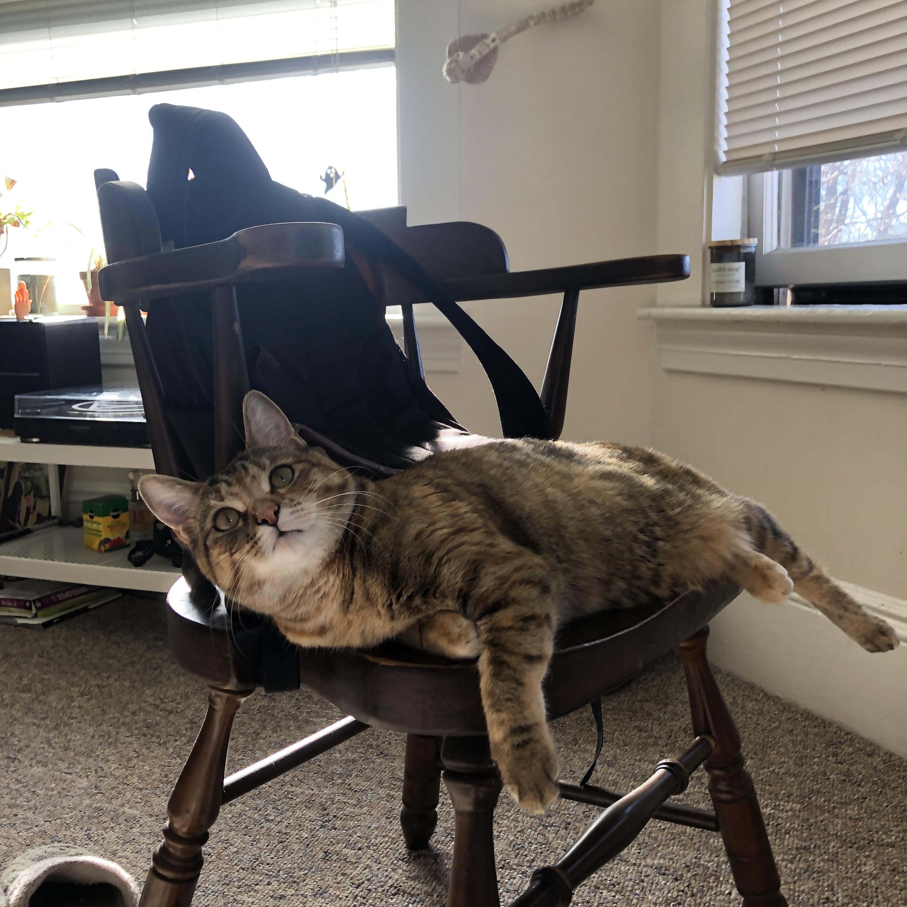 九游娱乐在线-仰泳选手状态正佳助奥地利夺分，仰泳国际比赛视频