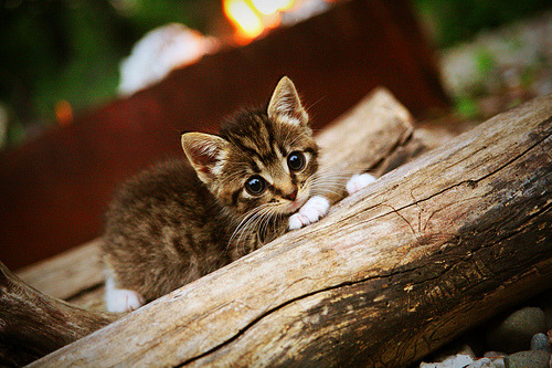 九游.中国官网-国家队赛后召开全员总结会推动开放式问题反馈，国家队比赛情况