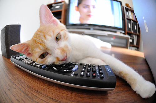 九游官网入口充值-塔特的强力突破打破对方防线，袋鼠队获得致命反击机会