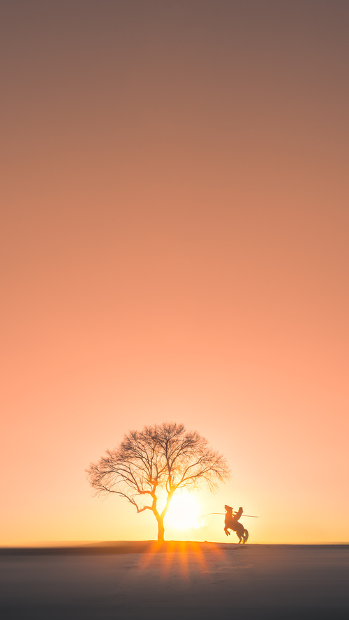 九游娱乐app官网-城市篮球文化节设立主题馆展示篮球发展历史与未来展望，篮球馆愿景