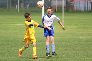 九游娱乐官网-奥地利男篮在欧洲预赛中崭露头角，冲击奥运